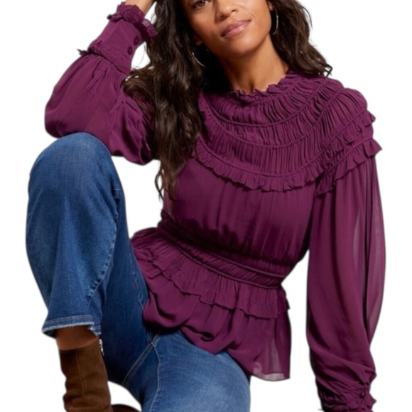 FARM Rio Tops - FARM RIO Ruffled Pleated Burgundy Purple Peplum Blouse Sheer Sleeve Top XS